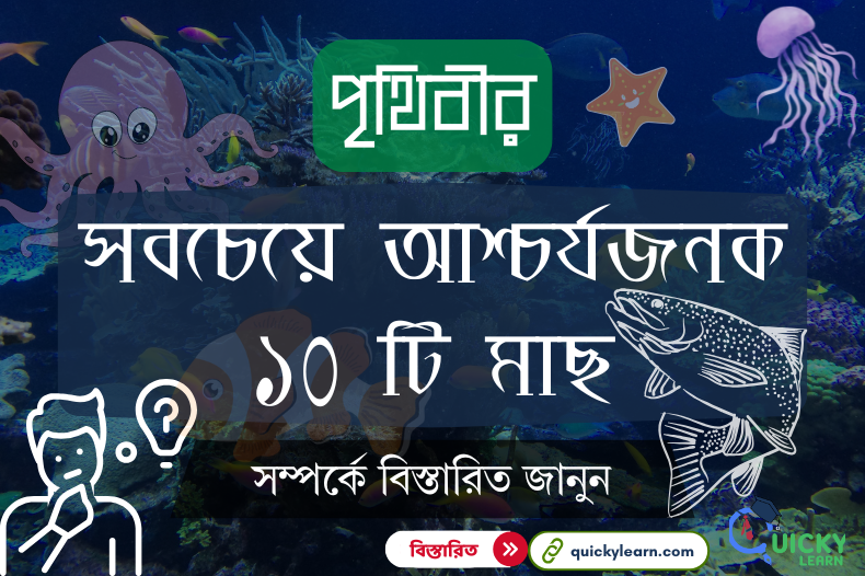 Read more about the article পৃথিবীর সবচেয়ে আশ্চর্যজনক ১০ টি মাছ