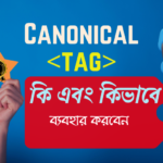 Canonical tag কি এবং কিভাবে ব্যবহার করবেন