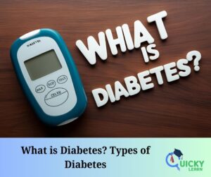 Read more about the article What is Diabetes? Types of Diabetes