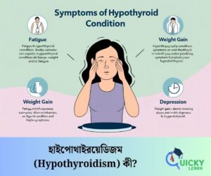 Read more about the article হাইপোথাইরয়েডিজম (Hypothyroidism) কী?
