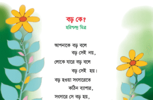 Read more about the article ৩য় শ্রেণির বাংলা বড় কে? অনুশীলনীর প্রশ্ন উত্তর