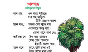 Read more about the article ৩য় শ্রেণির বাংলা “তালগাছ অনুশীলনীর প্রশ্ন উত্তর”